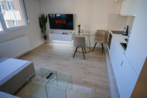 Apartment in Niš, Center! brand-new